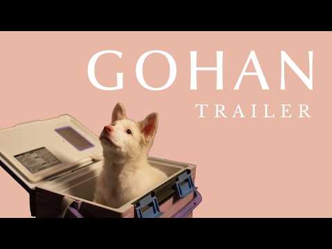 afbeelding Gohan