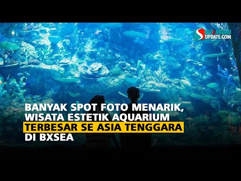 Banyak Spot Foto Menarik, Wisata Estetik Aquarium Terbesar se Asia Tenggara di BXSea