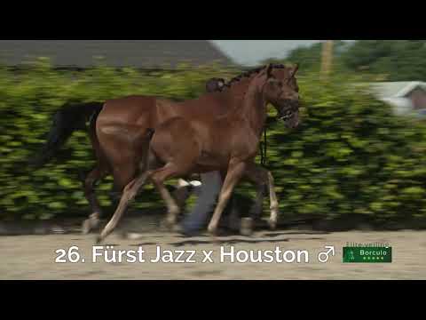 26 Next Jazz (Fürst Jazz x Houston)