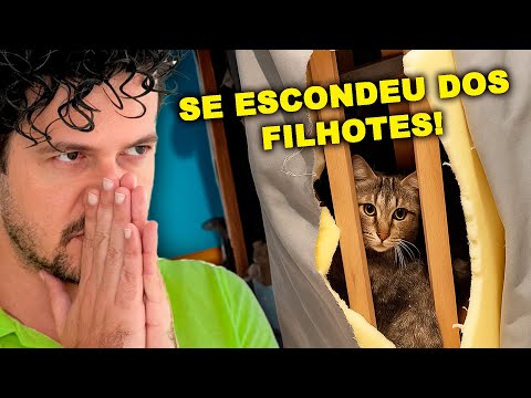 To see in the supermarket queue.