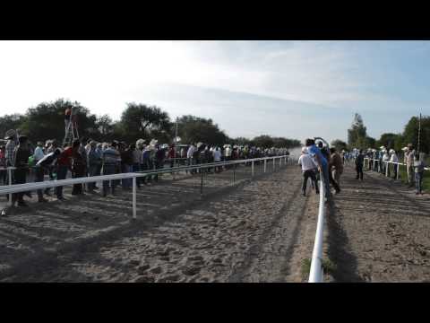 Carrera II El Viejón vs El Mexicanito