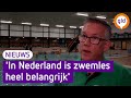 Veel animo voor extra zwemlessen