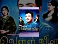 Velli Vizha