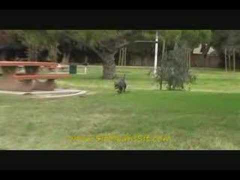 Taking the kids to work!