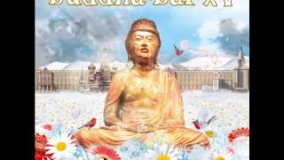 Buddha bar vol. XV - Andrew Richarson feat Sarina Suno - Hashim Theme (Original Mix) 2013