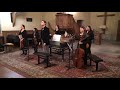 Antonio Rosetti - Concerto for Viola and Orchestra in G Major | Irina Fârtat