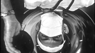 Breakfast In Fur- Setting Stone (Official)