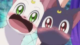 Artemis And Luna Daughter English Sailor Moon Crystal