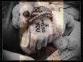 Staind - All I Want (Pics+Lyrics) 
