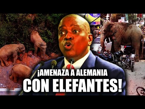NO ES BROMA! Botsuana AMENAZA con enviar 20 MIL ELEFANTES a ALEMANIA