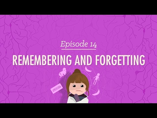 Videouttalande av remembering Engelska