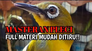 Download lagu Masteran Pleci wit wit kenari sambung bren ciblek panjang terbaru _ Terapi pleci nembak materi mp3