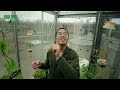 Master Program Evolution Ecology And Systematics EES
