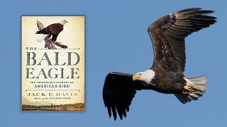 The Bald Eagle: The Improbable Journey of America’s Bird