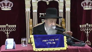 הרב בן ציון מוצפי • ברכת המזון סודאי פרשת תצוה אדר א תשפ"ב