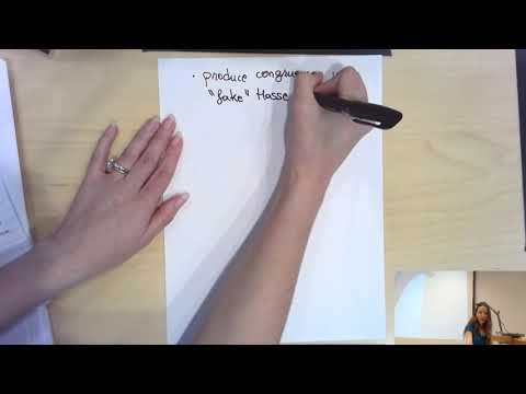 Shimura varieties (Ana Caraiani) 2-4