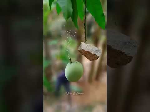 🔥🔥🔥🔥🔥🔥🔥O Wao#shorts #trend #trends #trand #viral #viralvideo #shortsvideo