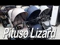 миниатюра 0 Видео о товаре Коляска прогулочная Pituso Lizard, Jeans / Джинс