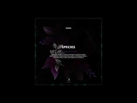 Gustavo Reinert, Gustavo De Souza - Babiddi (Original Mix) [WNM009]