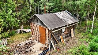 Restoring an Abandoned Cabin Hidden Deep in the Forest EP. 2