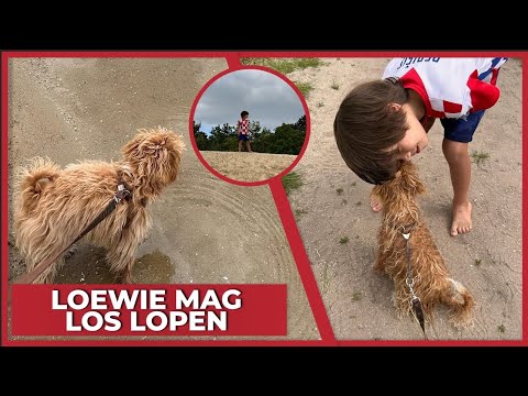 LOEWIE RELEASED FOR THE FIRST TIME! - #1738