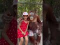 First Experience With The Famous Orangutan Must Visit Bangkok Thailand