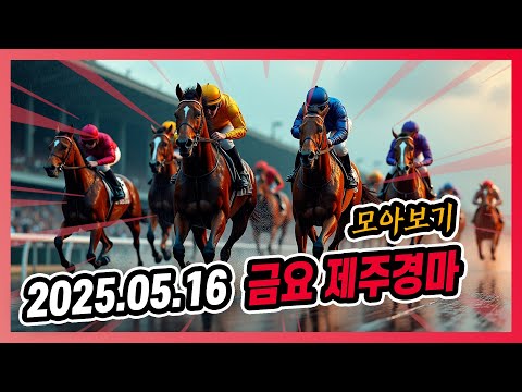 2025년 5월 16일 금요 제주경마 전체경주 모아보기