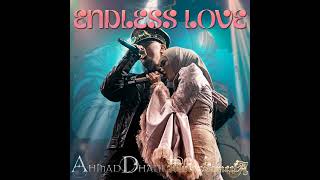 Download lagu Ahmad Dhani & Mulan Jameela - Endless Love mp3