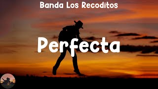 Banda Los Recoditos - Perfecta (letra)