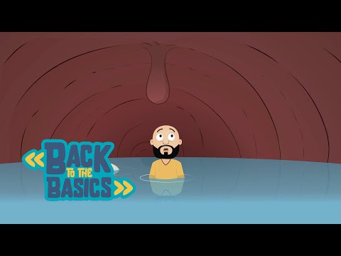 Jonah and the Whale | Episode 3 | Back to the Basics!