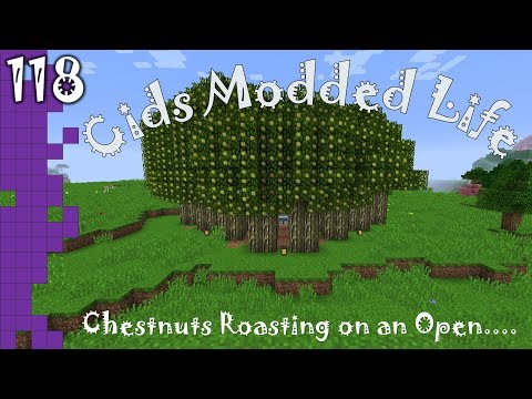 Cids Modded Life - 118 - Chestnuts Roasting on an Open....
