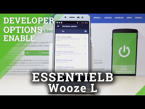 How to Enter Developer Options in ESSENTIELB Wooze L – Open Advanced Options