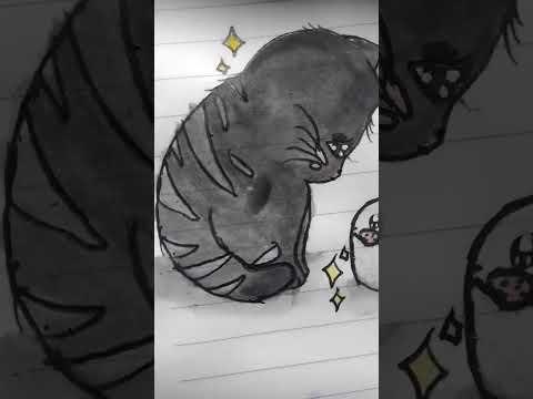 A cute cat with her cat toy 😻..... Firdous Artistry.