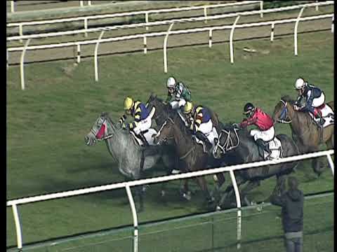 Galoppo 22/11/2017 - 6ª corsa