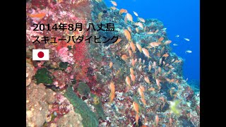preview picture of video '2014 八丈島ﾀﾞｲﾋﾞﾝｸﾞ Scuba Diving Hachijo Island Japan'