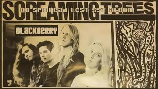 Screaming Trees-Blackberry (1988 unreleased track)