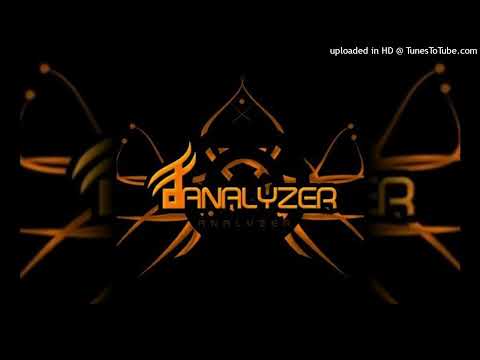 Freedom Fighters & Analyzer - Stereo Junkies