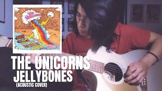 Unicorns - Jellybones (Acoustic Cover)