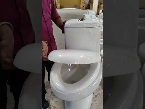 ZERIC 101 One Piece Water Closet