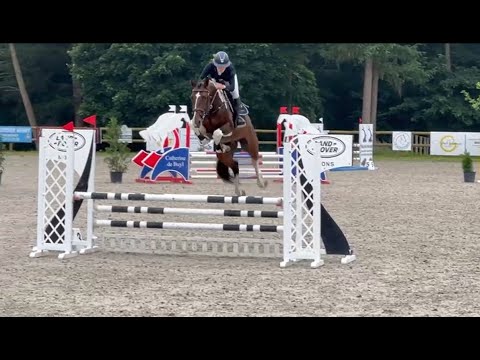 OGANITO SITTE 4yo EL DORADO VD Zeshoek x GRECO Sitte Cycle LOUCHIER 2024