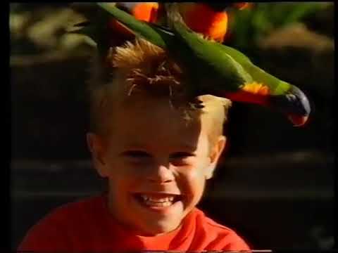 1991 Sydney TV Commercials (TCN-9)