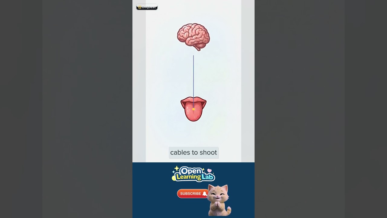 Why Do We Have Taste Buds? — The big myth 🚀 #Shorts