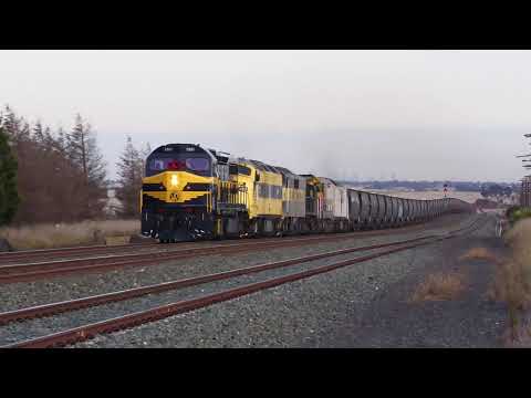 Australian Heritage Locomotive C501 Filmed with 3 cameras!
