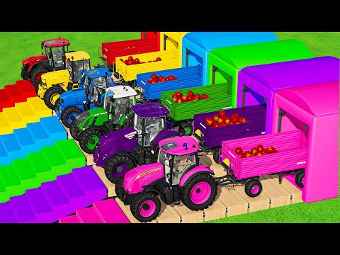 LOAD & TRANSPORTING TOMATO with FENDT vs LAMBORGHINI vs DEUTZ FAHR vs CLAAS vs JCB TRACTORS! FS22