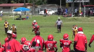 FORESTVIEW STEELERS VS LSAA JRPW