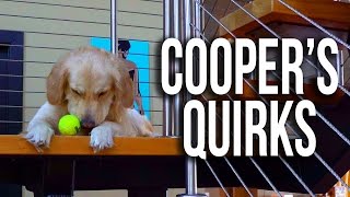 Crazy Golden Retriever Habits (Super Cooper Sunday #91)