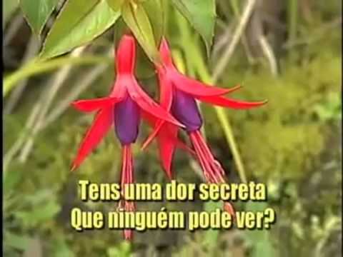 Olha com Fé Para Cima, Hinario Adventista Nº  272