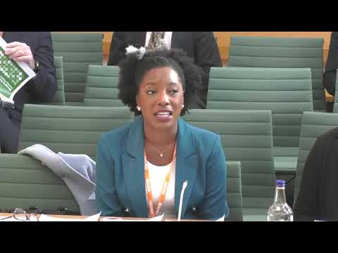 HoC - Select Committee - Housing Communities Local Gov - Rough Sleeping - 12/11/2024