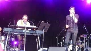 Steve Nieve - Oliver's Army @ Fuji Rock Festival 2014 (25/07/2014)