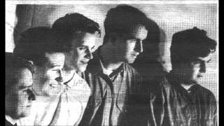 The Orchids - Avignon